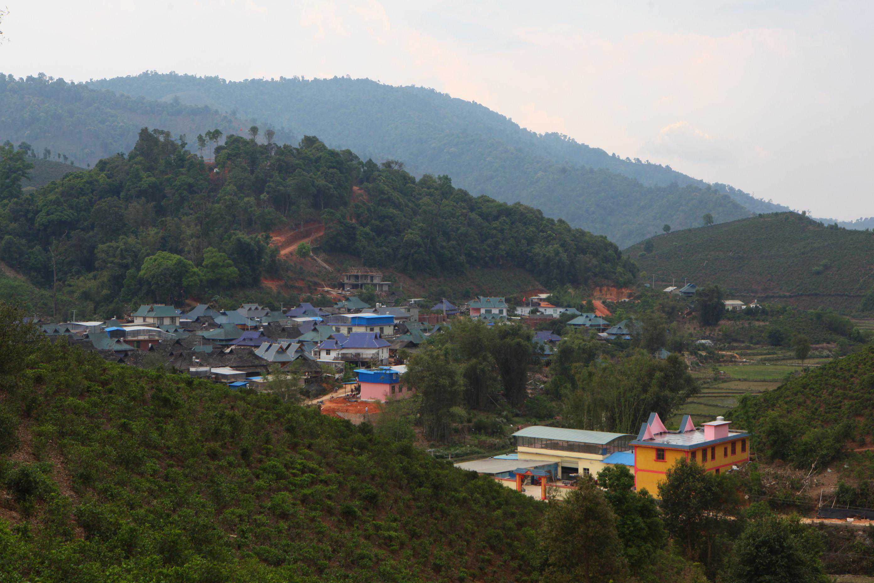 盘点：普洱茶10大名寨茶各自的特征