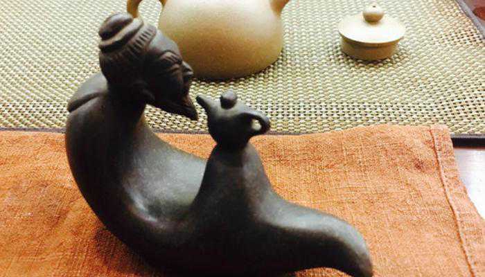 想养好茶宠？先看看这本秘籍