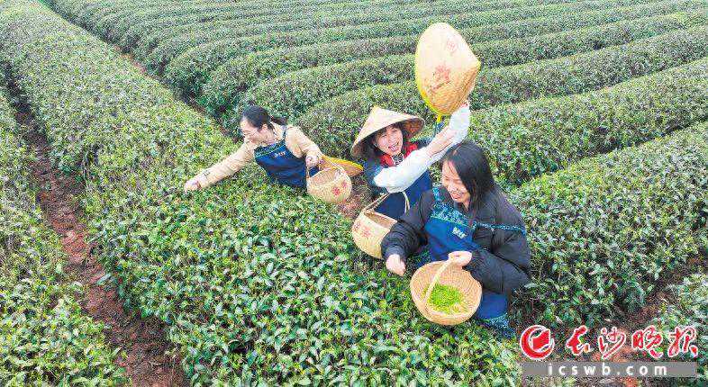 金井有个非遗文旅景区 | 非遗邂逅旅游