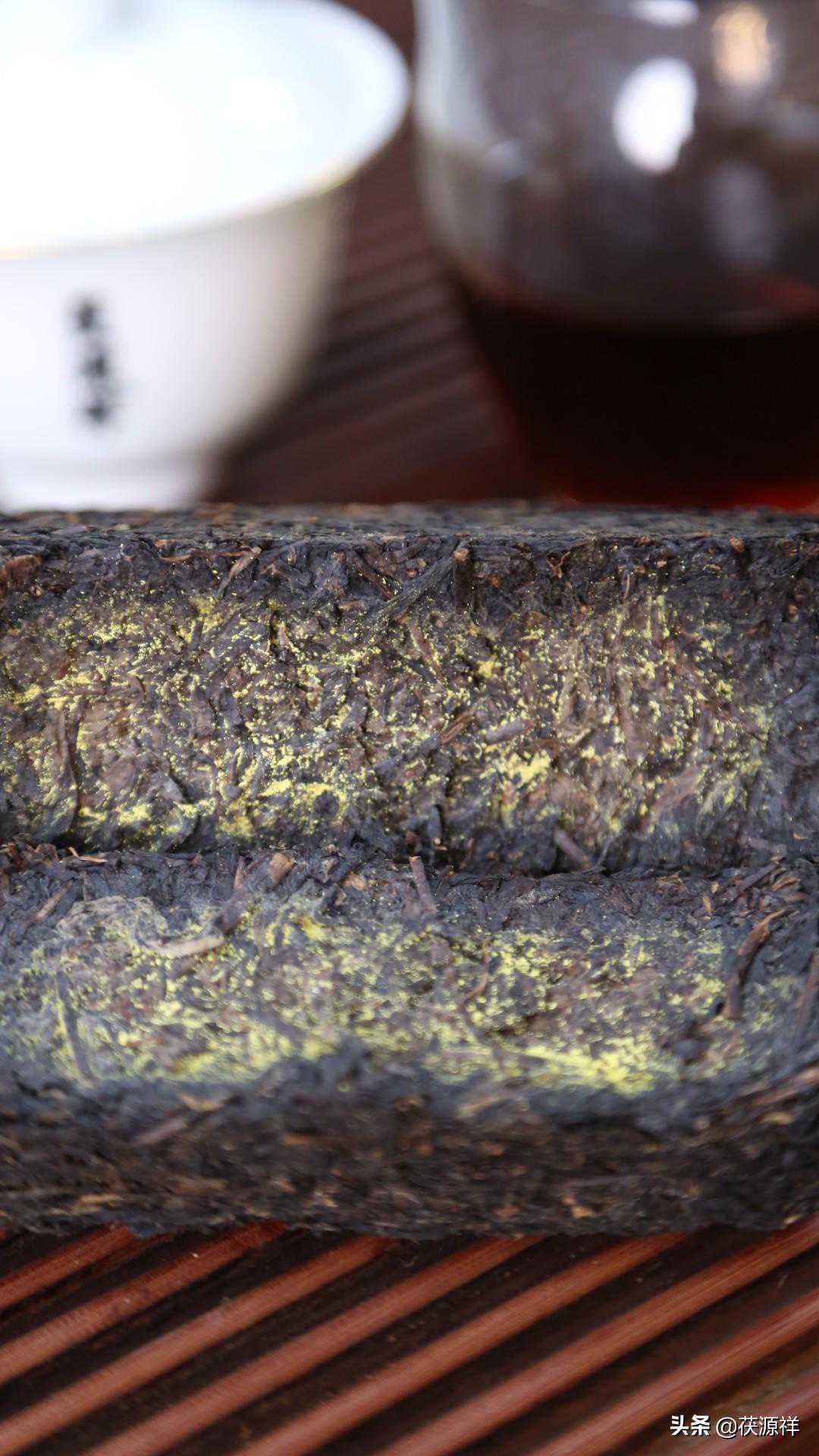 冠突散囊菌的鉴定和命名