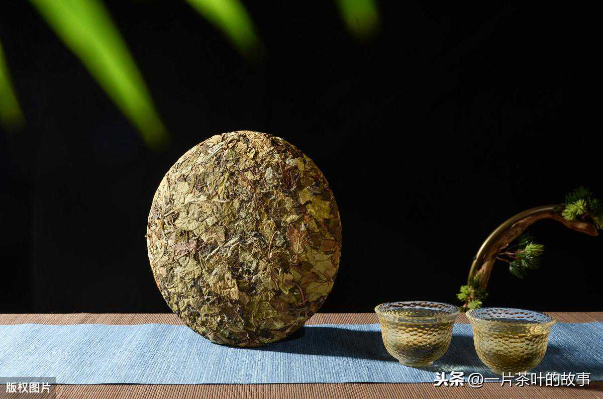 如何鉴别新老白茶？