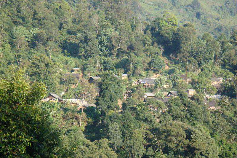 勐宋茶山之保塘寨子