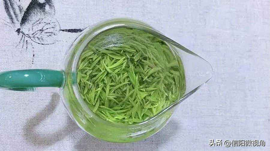 什么样的信阳毛尖才是好茶叶