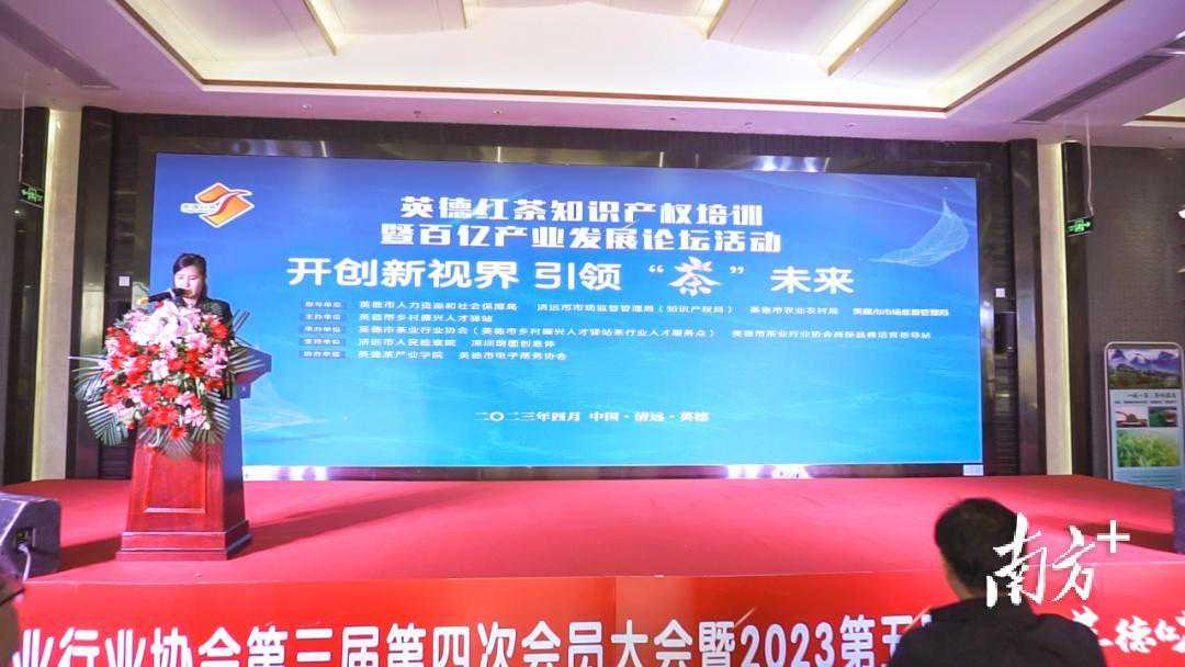英德茶协举办知识产权培训，助力打造百亿茶产业
