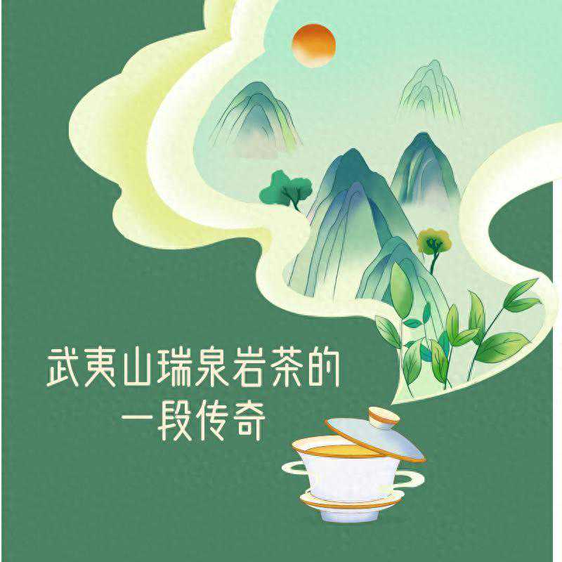 武夷山瑞泉岩茶的一段传奇