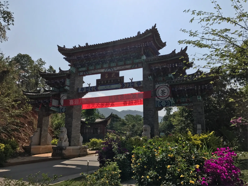 普洱茶三大核心产区—版纳茶区及特点