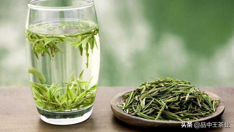 中国十大茗茶录之信阳毛尖