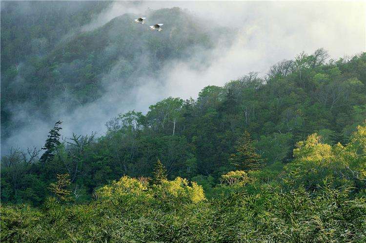 盘点一下，普洱茶10个名山头，一山一味