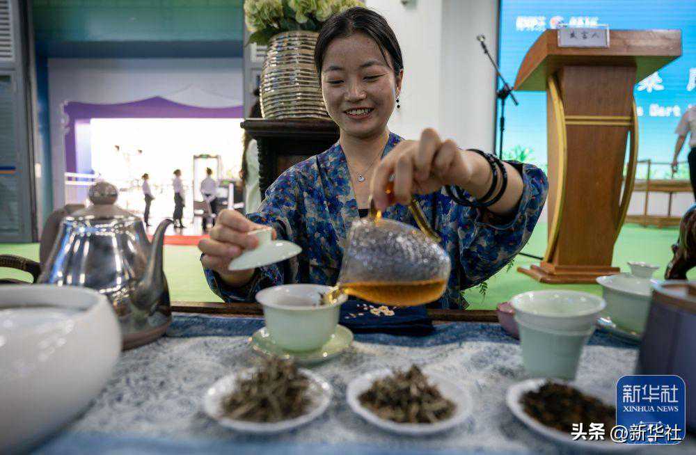 新华全媒+|南博会首届南亚茶叶节开幕