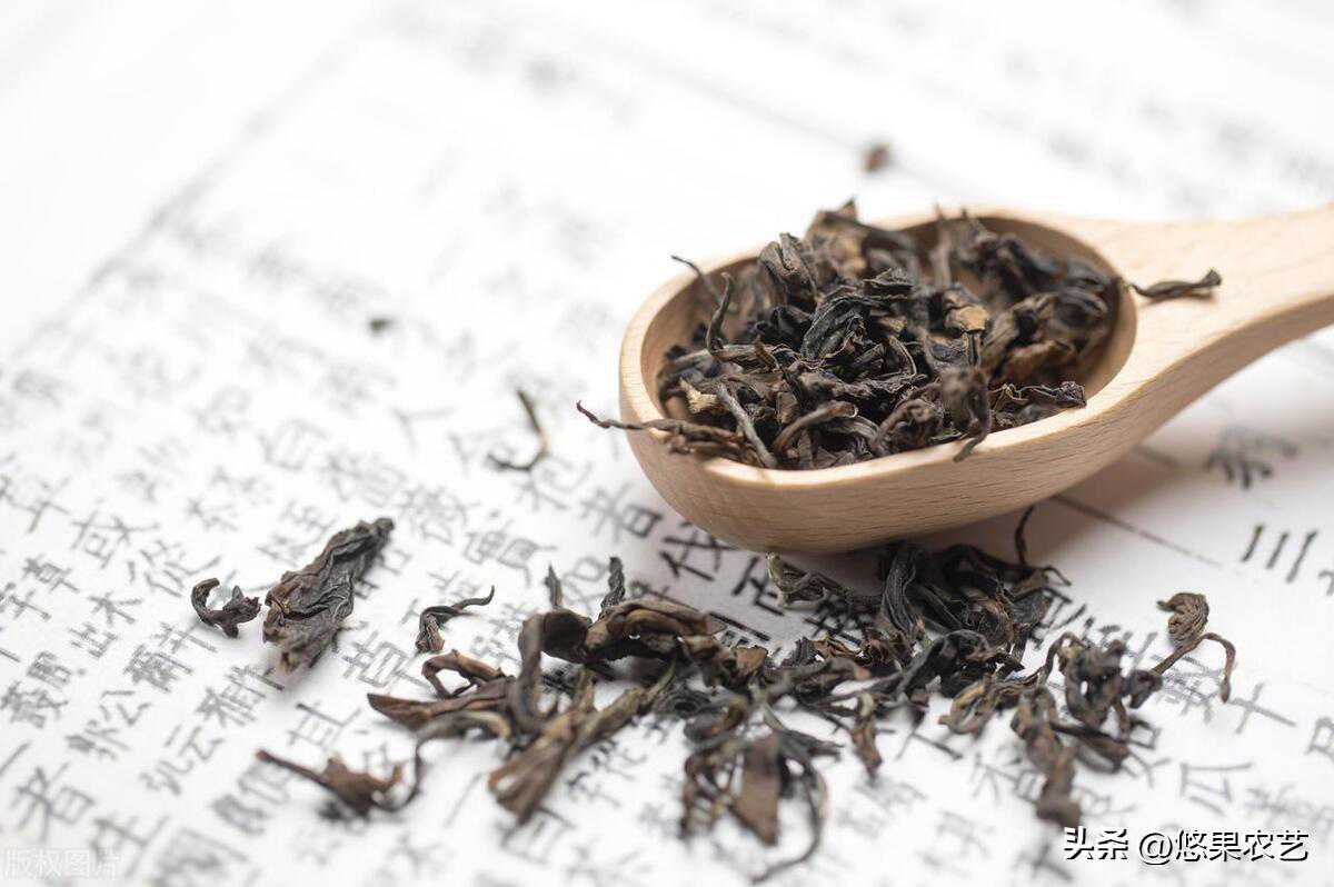 读《茶经》（二）：一之源的主要内容