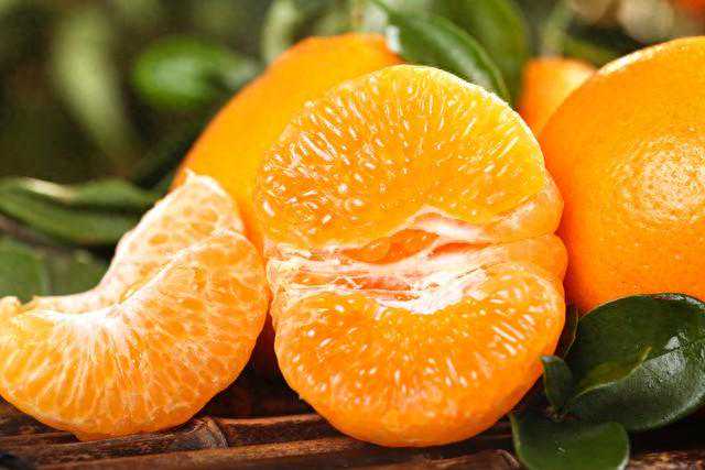 春天里的“网红”耙耙柑：味道与情怀的双重魅力