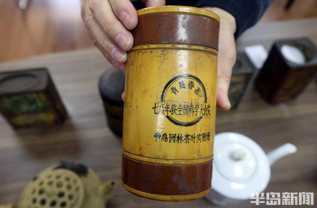 茶叶罐、大茶缸……此间春色“品茗”青岛茶文化