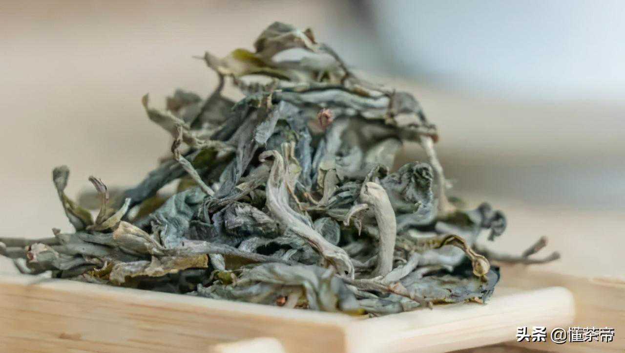 十大云南古树茶，喝过8种以上是骨灰级茶友