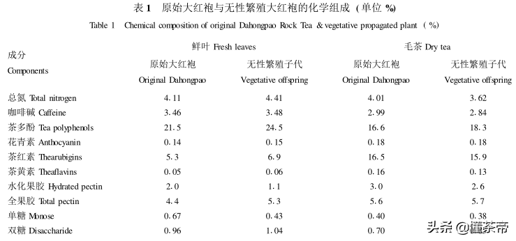 别再神话母树大红袍了，它的品质，没有你想象中的好