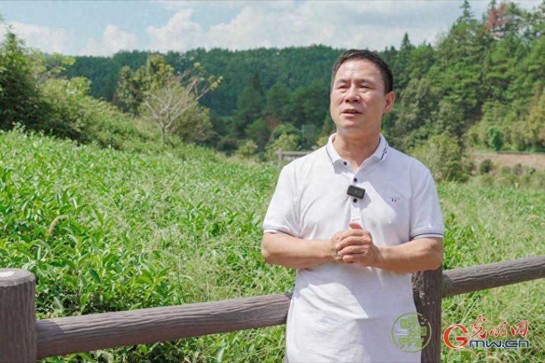 国家公园守护者｜武夷山：“老”茶乡的“新”茶香
