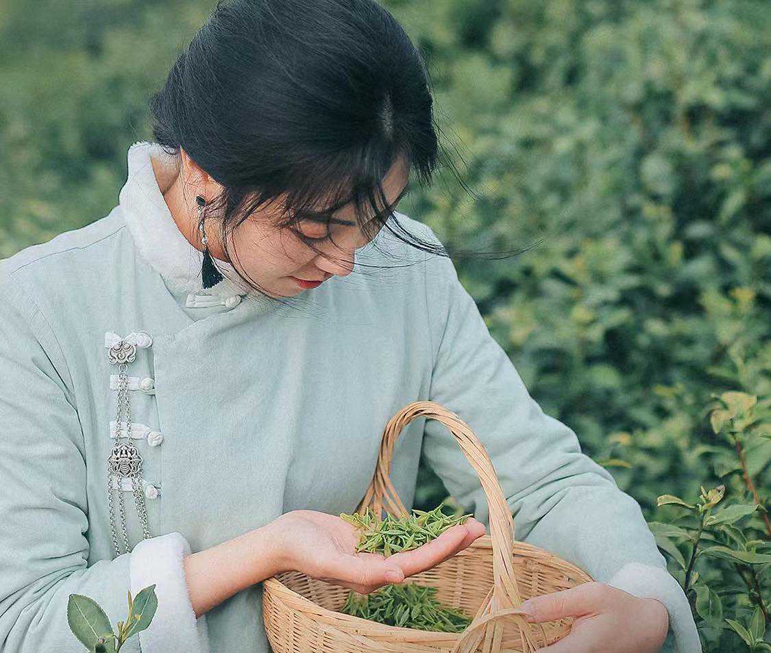 诗画问茶·碧螺春｜烟波之间，一杯“明代茶”