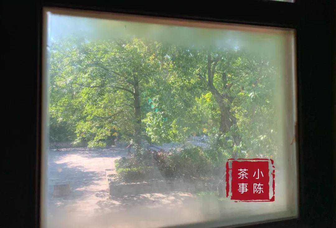 三缺一：武夷岩茶四大名丛，总是凑不齐