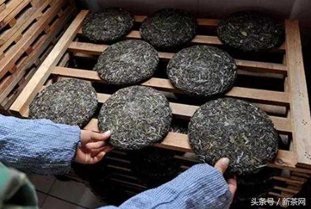 什么是普洱茶干仓湿仓，湿仓茶都是“不好”的茶吗？