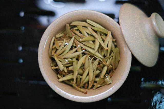 如何轻松区分白茶：炭焙与电焙的差异