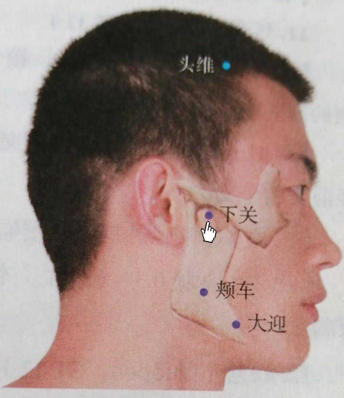 每日一穴——下关穴