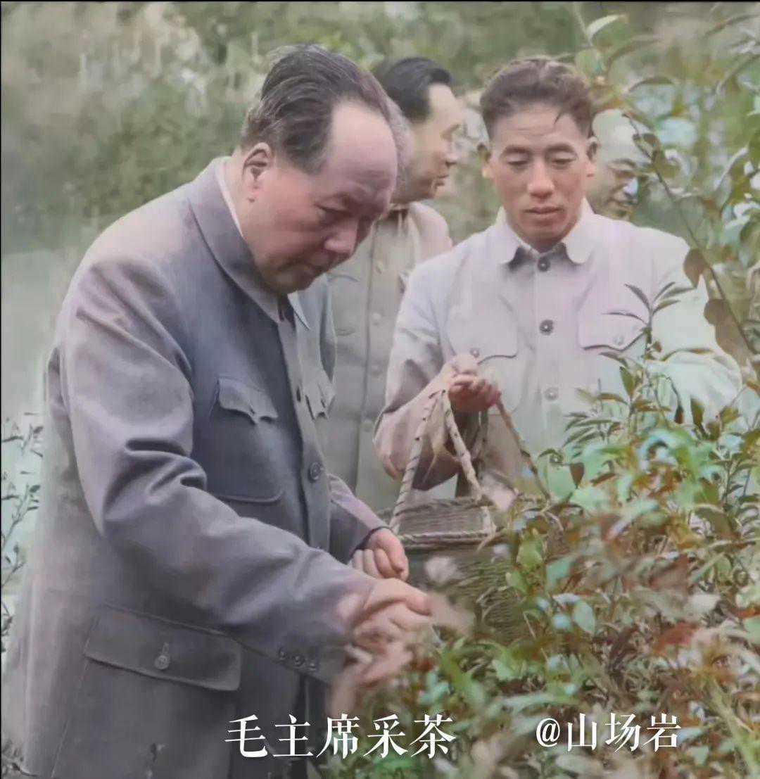 鬼洞名丛红孩儿