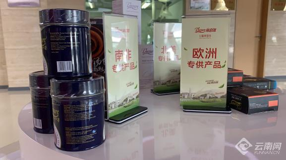 在“帝泊洱”品一杯静心之茶