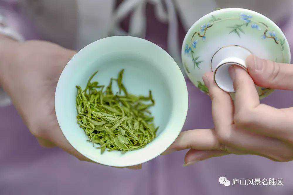 坐饮云雾爱庐山，高海拔庐山云雾茶是这样制作的