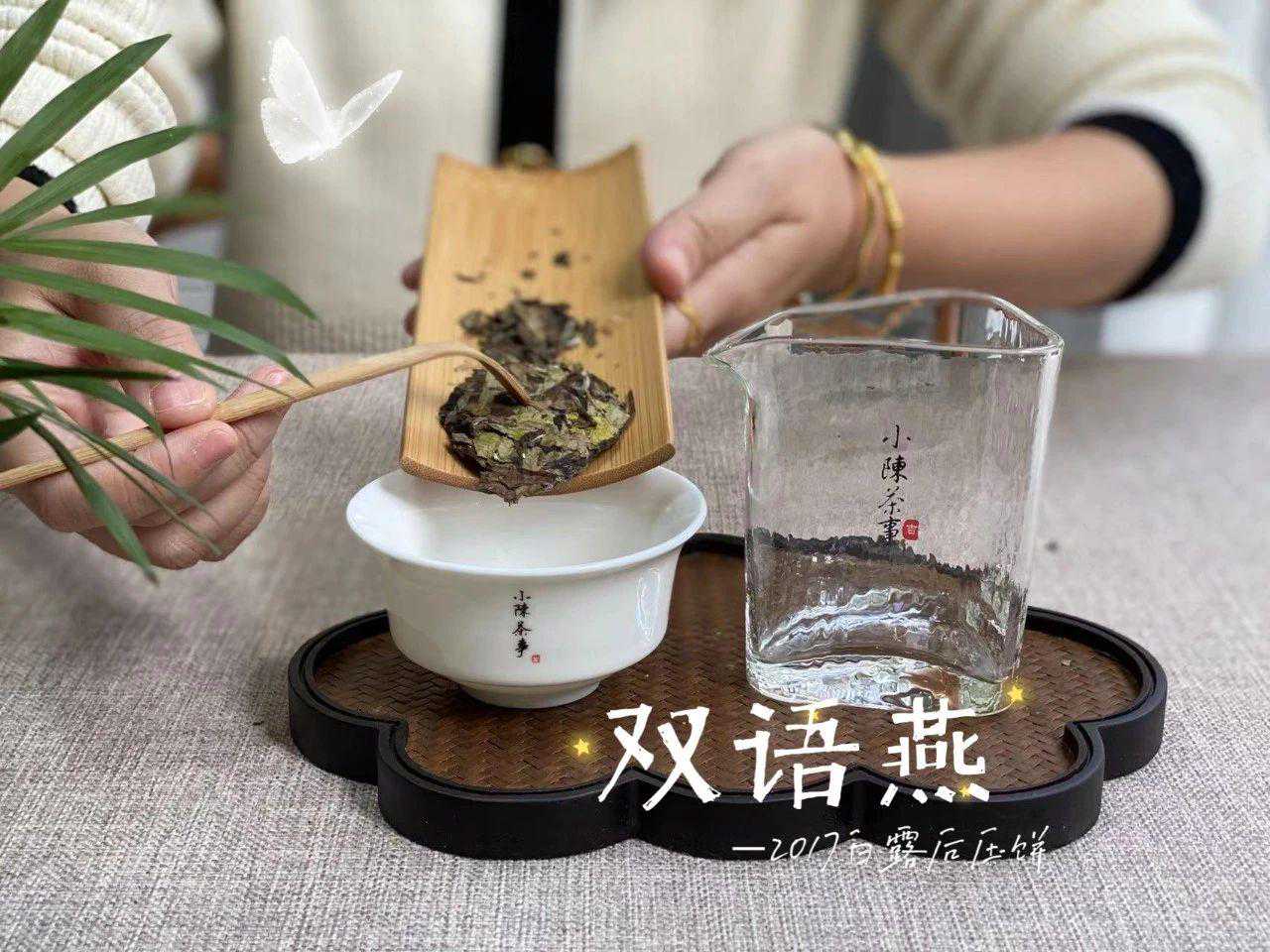 老白茶不过是骗局，存久了没茶味？快看老茶友总结的3个原因