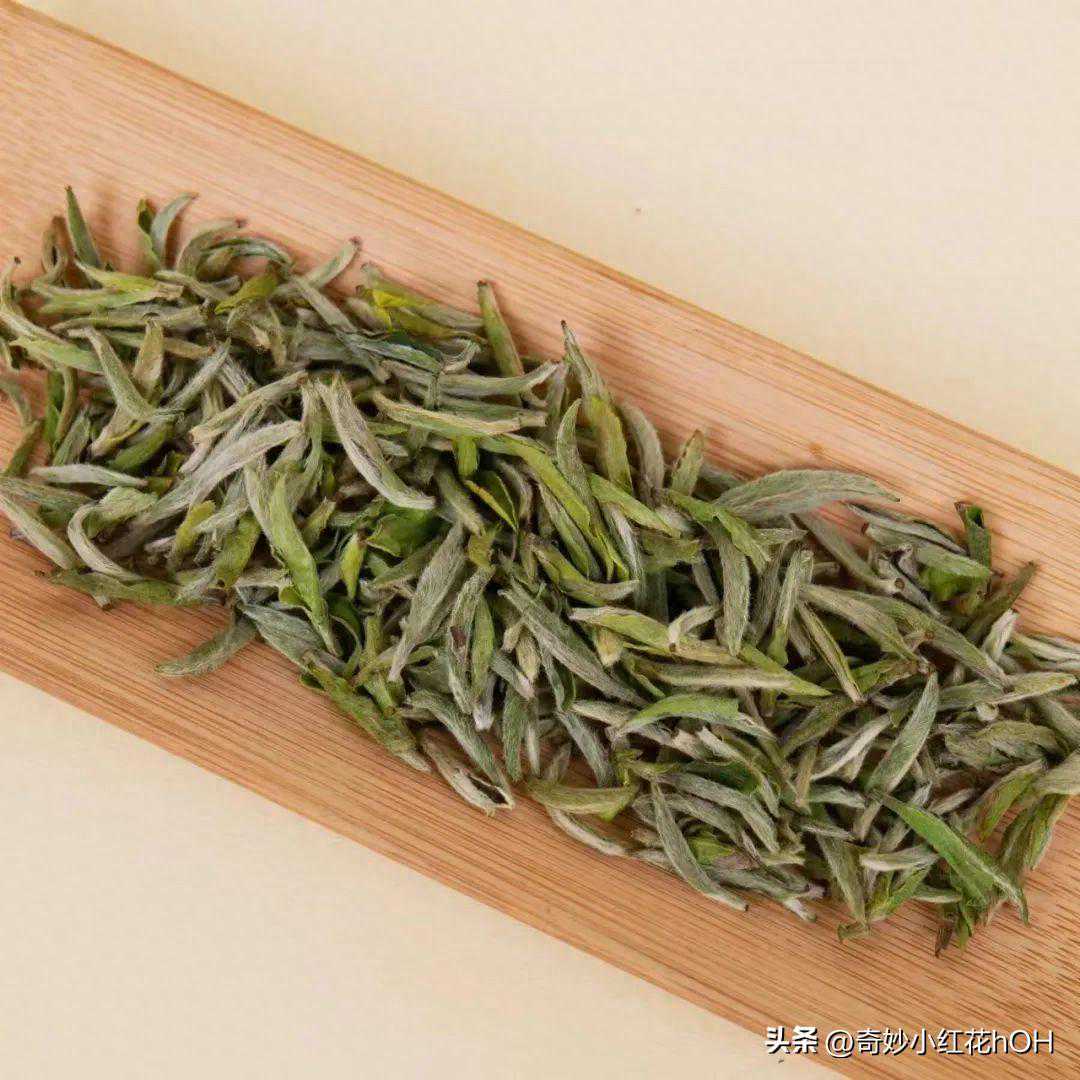 炭焙白茶三大疑问，你都了解吗？