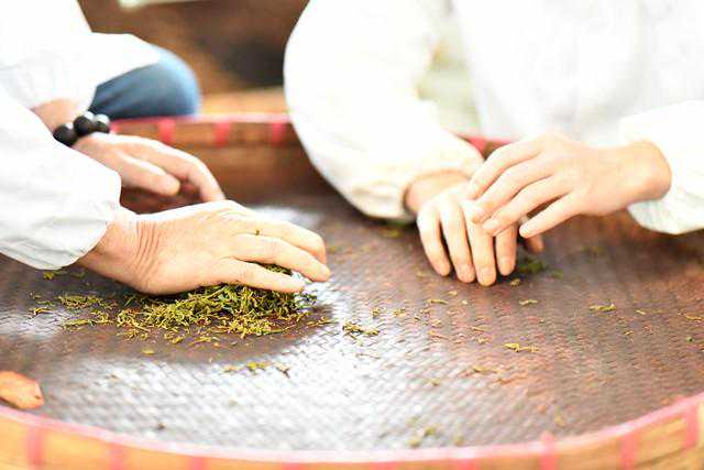制茶工艺里的窨制是什么?