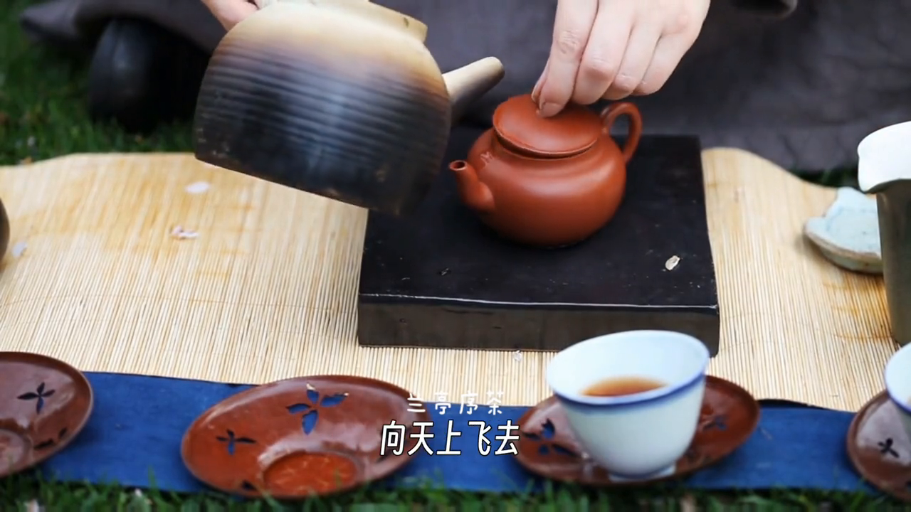 关于福鼎大白茶的传说，你知道多少？