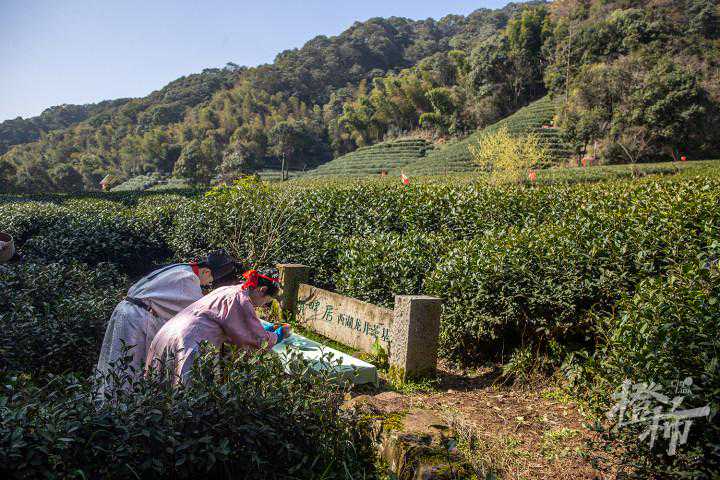 茶叶送礼，一定要做这些，才算没白送