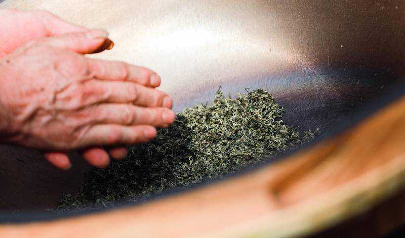 一盏春茶，清润你的生活