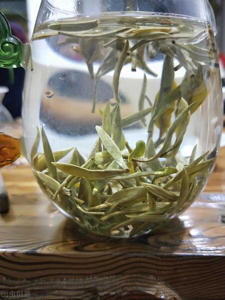 白茶大科普：白茶怎么泡？