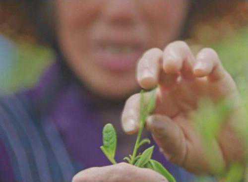 浙江绍兴非物质文化遗产 前岗煇白制作技艺独特