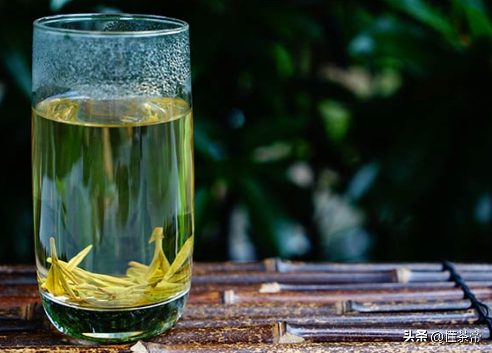 西湖龙井避坑干货，看这一篇就够了！