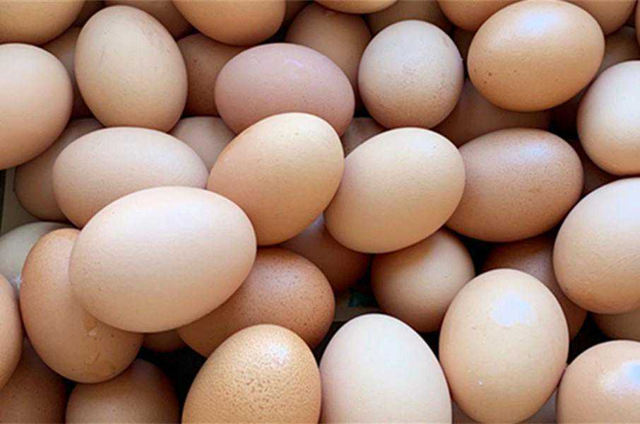 茶叶蛋，有人只用茶叶有人直接煮，都不对，教你正确做法，太香了