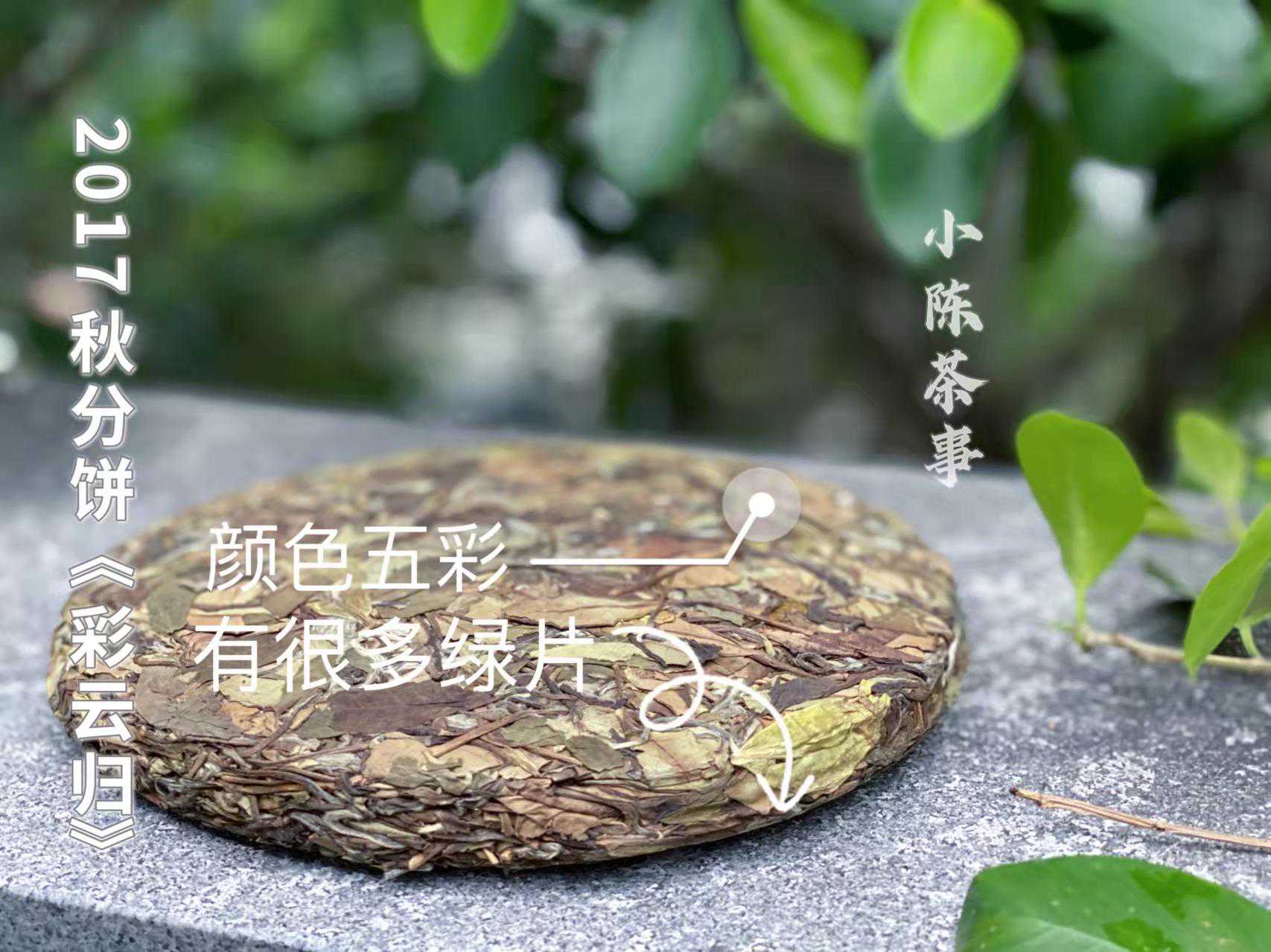 关于白茶饼的4点争议，不说虚假的，答案已在《紧压白茶》国标里