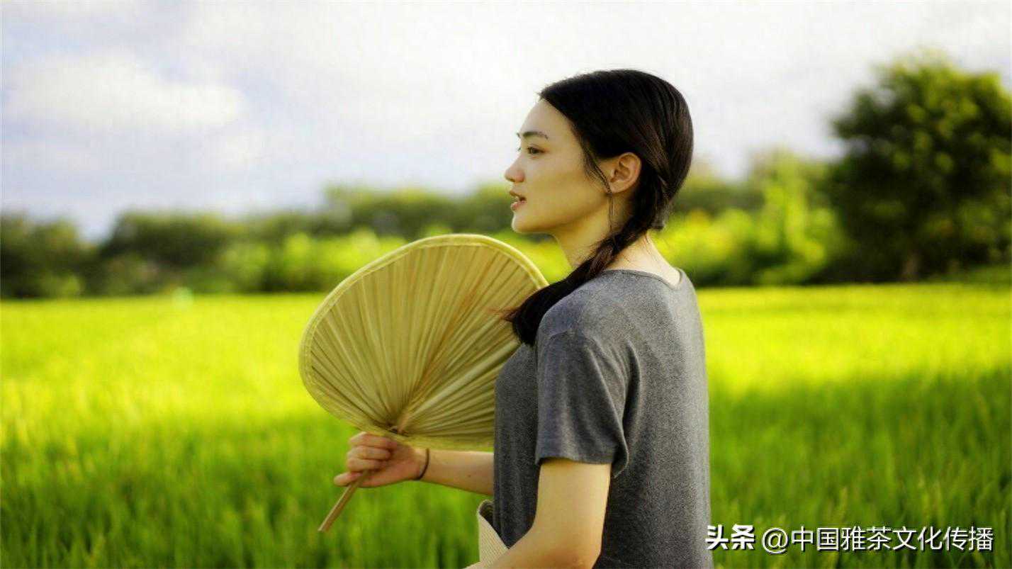 茶净苍生一佛一茶，水光山影自然相生