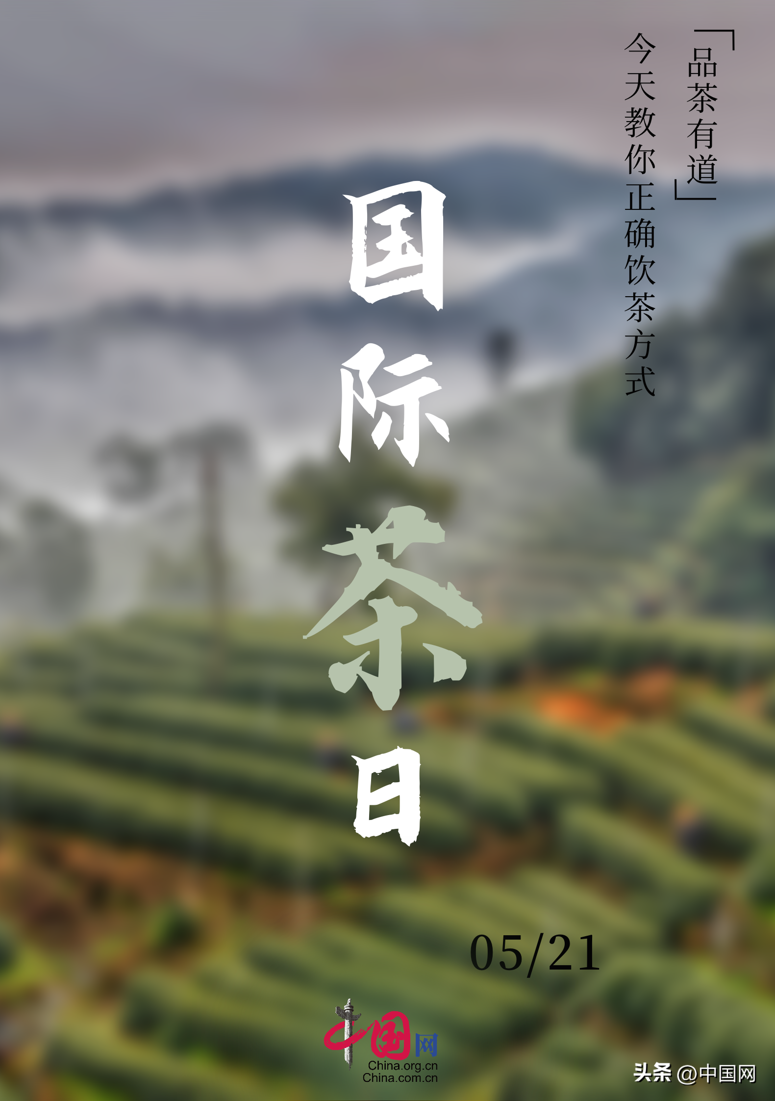 国际茶日 | 品茶有道，今天教你正确饮茶方式