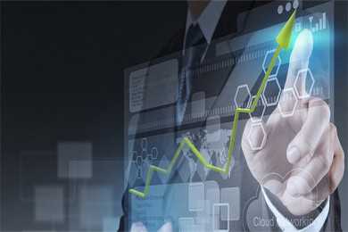 你了解洱茶中的“茶虫”吗？ 普洱茶的“茶虫