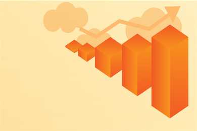 你了解洱茶中的“茶虫”吗？ 普洱茶的“茶虫