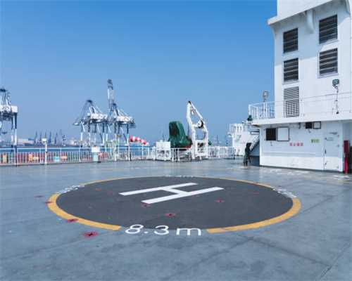 桂丁茶叶成致富“金叶”，她把数百年前失传贡茶盘活了