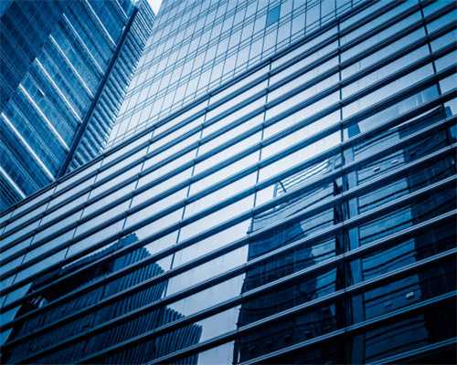 草本凉茶“叶下珠”，植物号称“毒蛇克星”，有经验的人用来煲汤