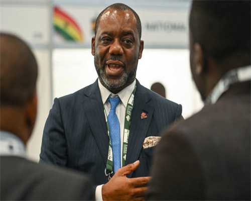 如何冲泡菊花茶？