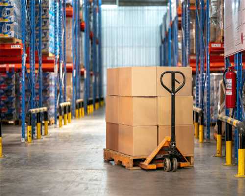 山茶籽油脂设备的市场前景