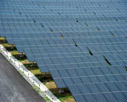 长姿势了：乌龙茶鉴赏