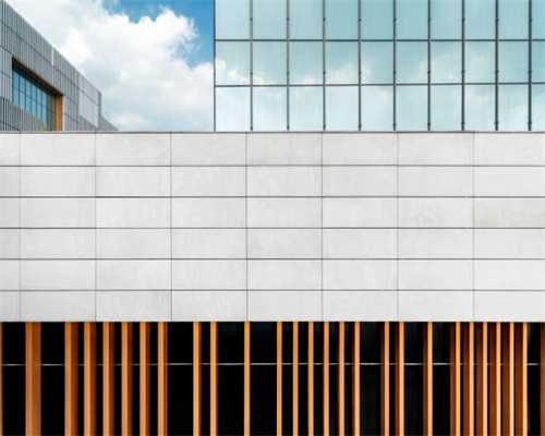 「食疗药膳」双桂丁香茶