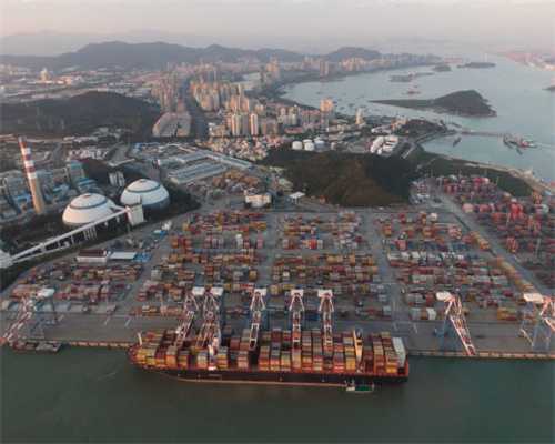 蒲公英泡茶被追崇，它真的那么好吗？