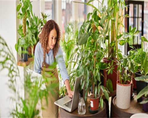 致茶界同仁的建言书